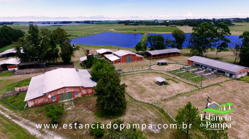 TREM TOP SORGO.00_00_56_03.Quadro021_8ab922658c2e3bb176f7c51e203dc7783da2bc6a.png